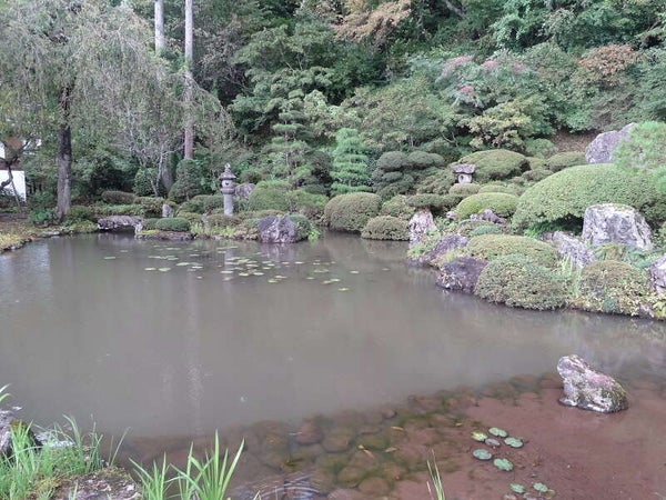【秋田エリア発】 玉川寺クリンソウと蔵屋敷LUNA会席料理の昼食 羽黒山午年御縁年 日帰り2